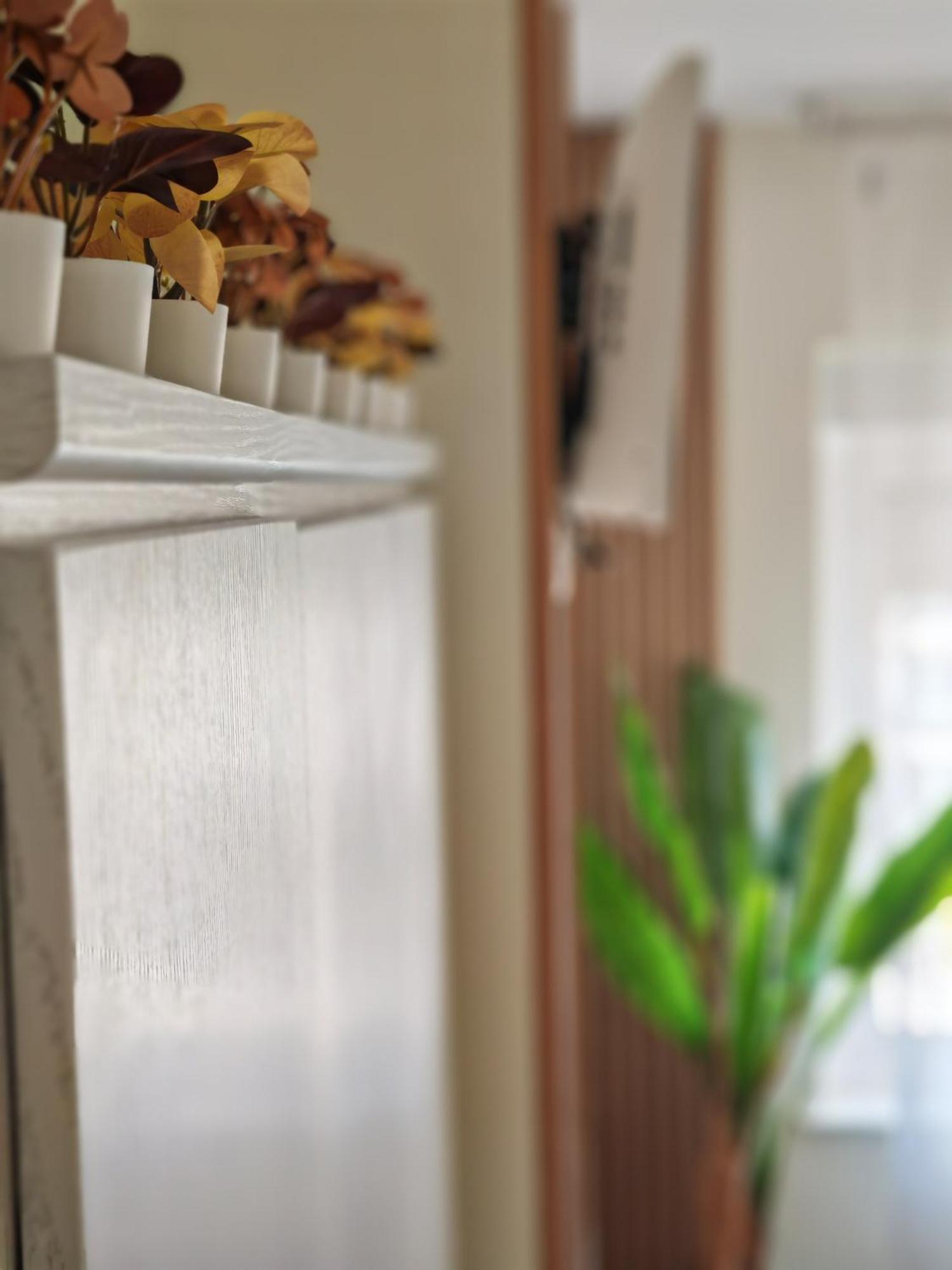 Apartamento Ladevesa Elche Exteriér fotografie